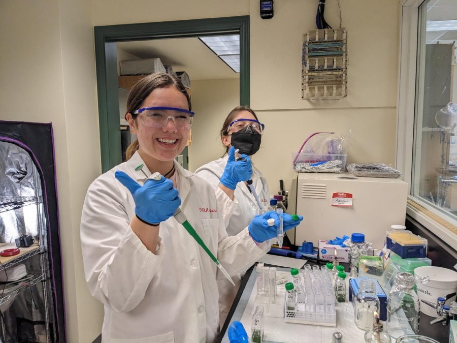 Isabella Zirn ‘23 and Michelle ‘23 work in the lab together. 
