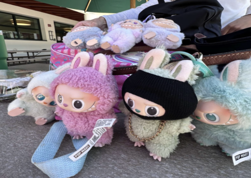 Collection of Labubu's seen on Tolog's bag. Photo credit to Ruzanna Margaryan ‘26. 
