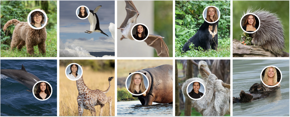 Explore! The Veritas Shield as their various assigned animals. Photo by Charlotte Wilson '27. 

