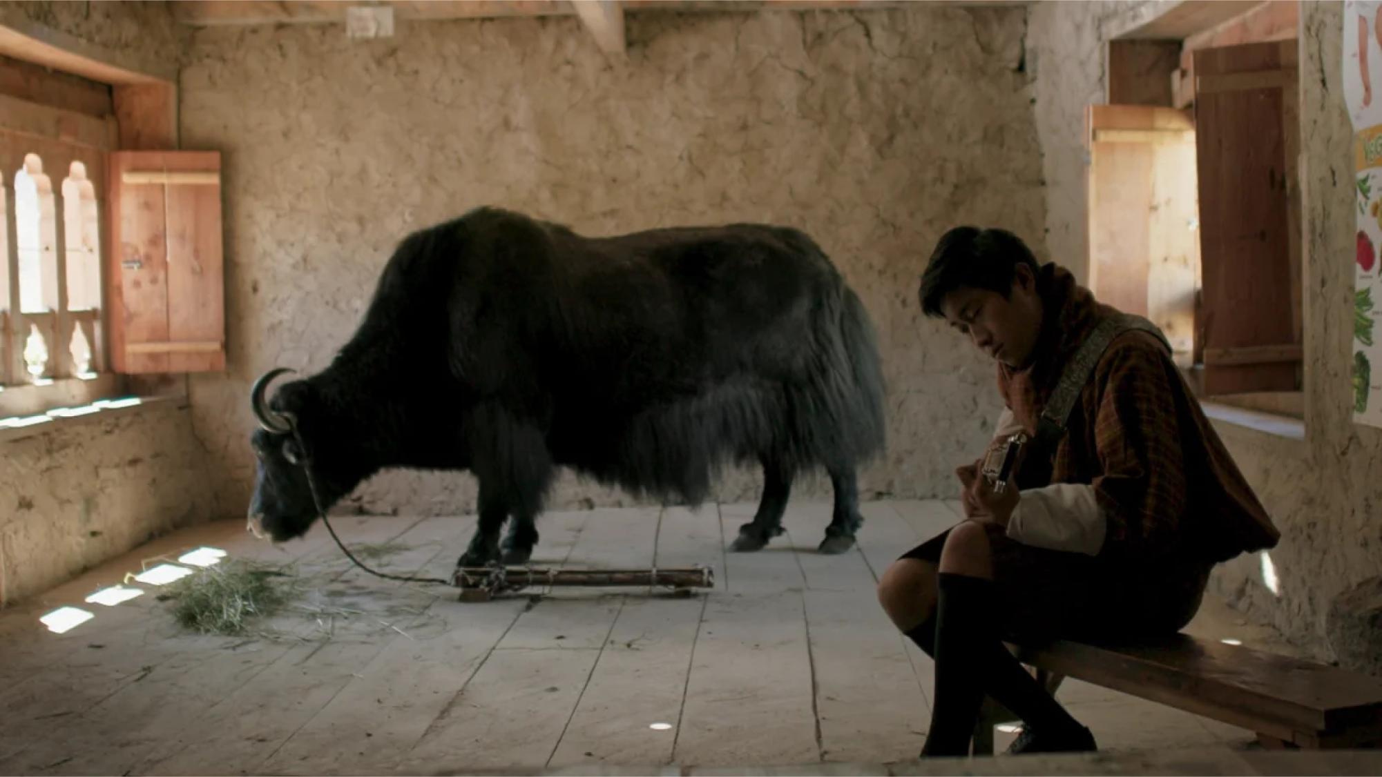 CUT! A scene from the 2019 Bhutanese film Lunana: A Yak in the Classroom